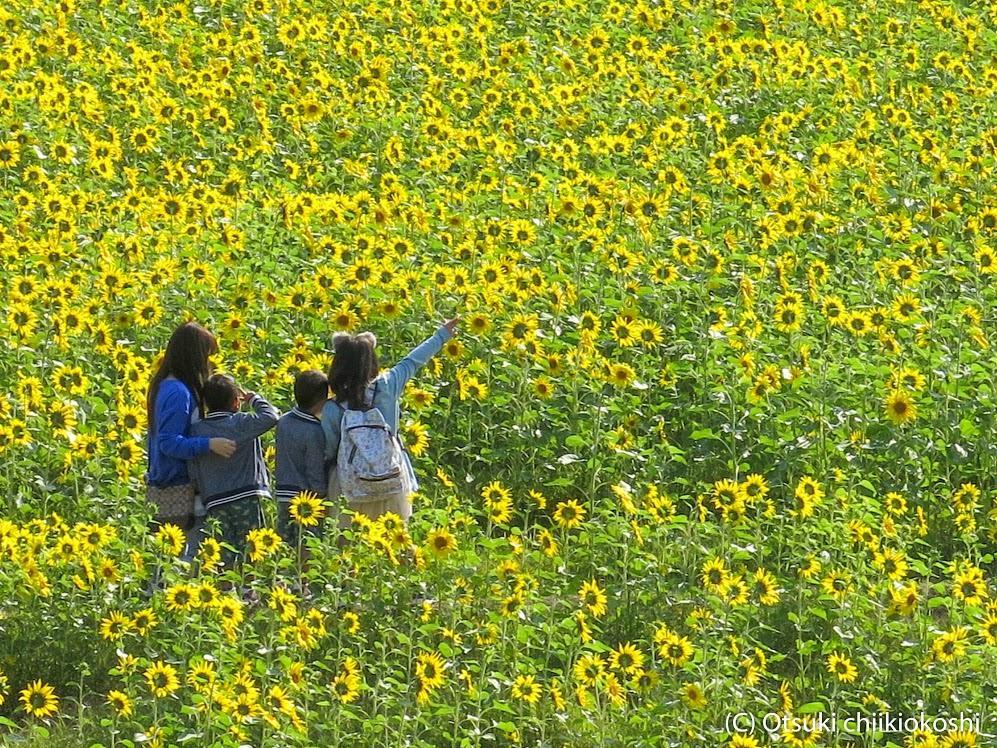 ホテルアバン宿毛 宿毛市 エクステリア 写真